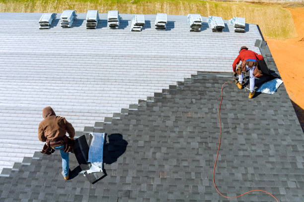 Best Roof Maintenance Services  in Forsyth, MO