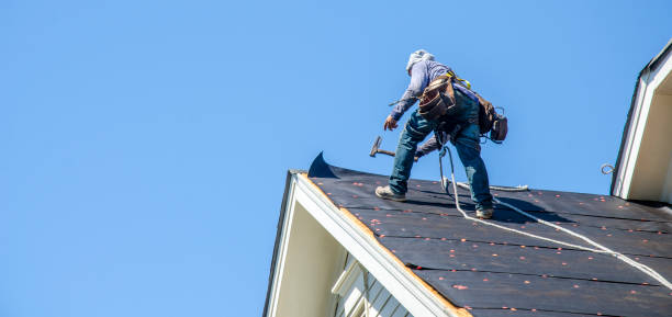 Best Roof Gutter Cleaning  in Forsyth, MO